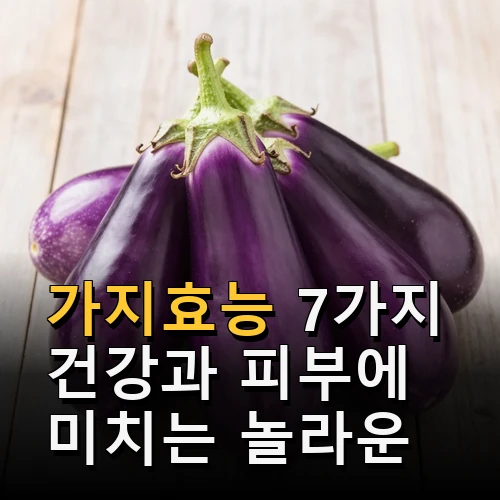 가지효능