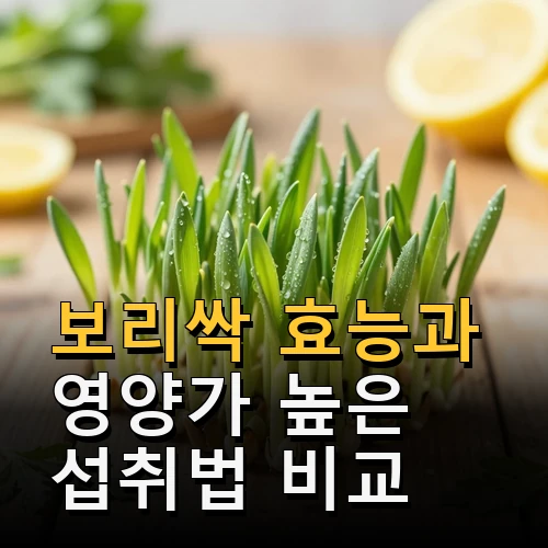 보리싹 효능