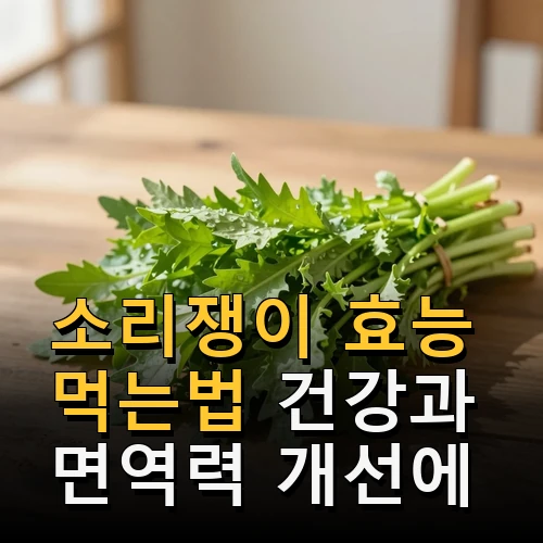 소리쟁이 효능 먹는법