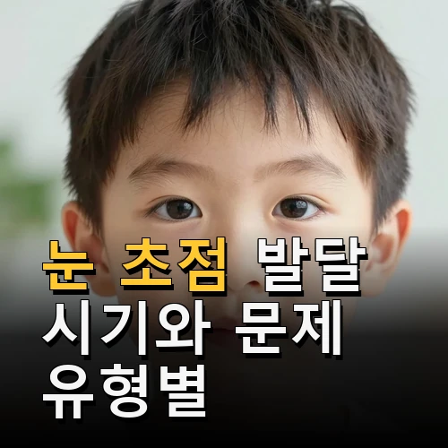 눈 초점