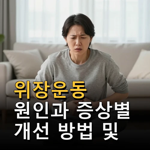 위장운동