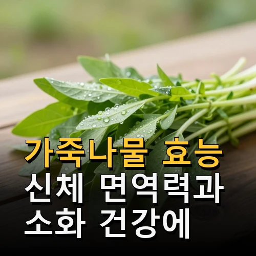 가죽나물 효능