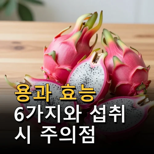 용과 효능