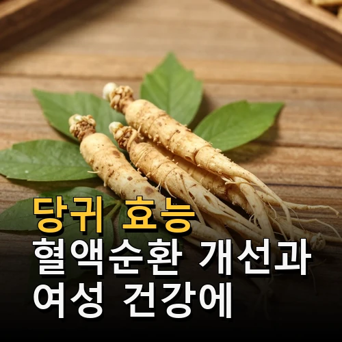 당귀 효능