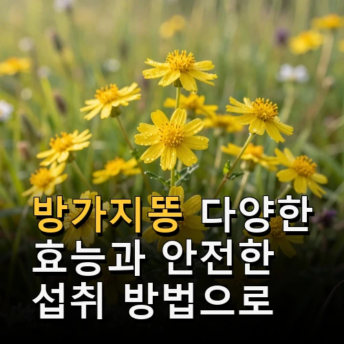 방가지똥