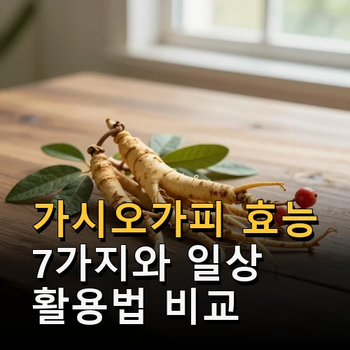 가시오가피 효능