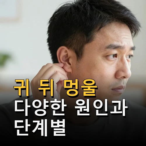 귀 뒤 멍울